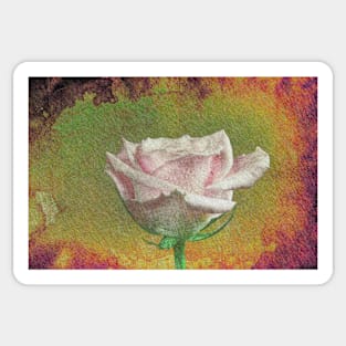 A painting of pink Rose . Sticker